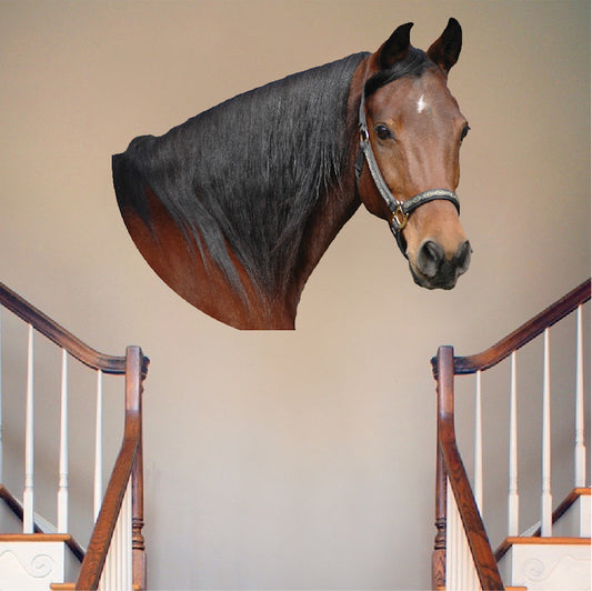 Horse Head Wall Decal