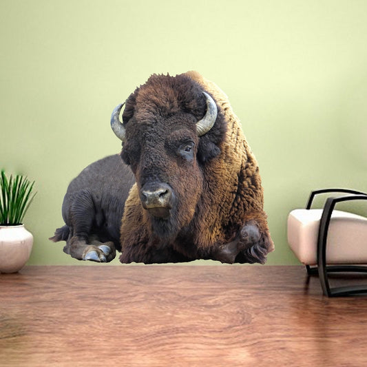 3D Bison Wall Decal