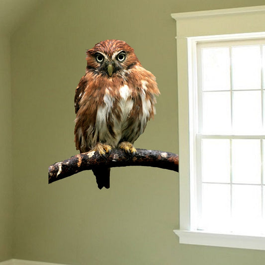 Owl Wall Decal – Kids Room Decor