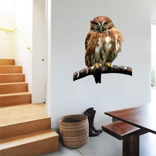 Owl Wall Decal – Kids Room Decor