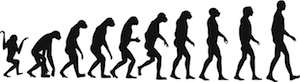 Monkey Men Wall Decal Set - view 4