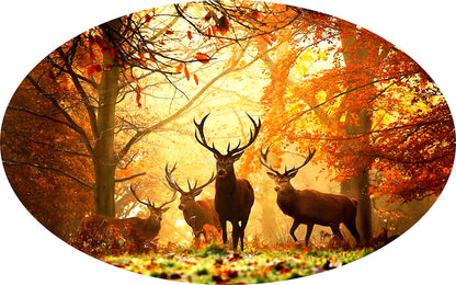 Deer Wall Decal