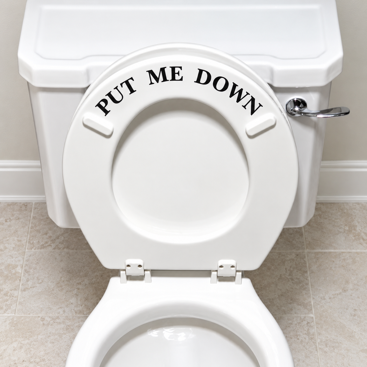 Black Put Me Down lettering on a raised white toilet seat