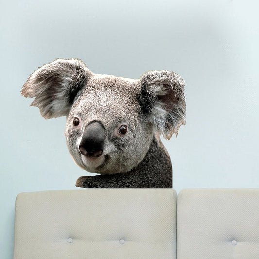 3D Koala Wall Decal