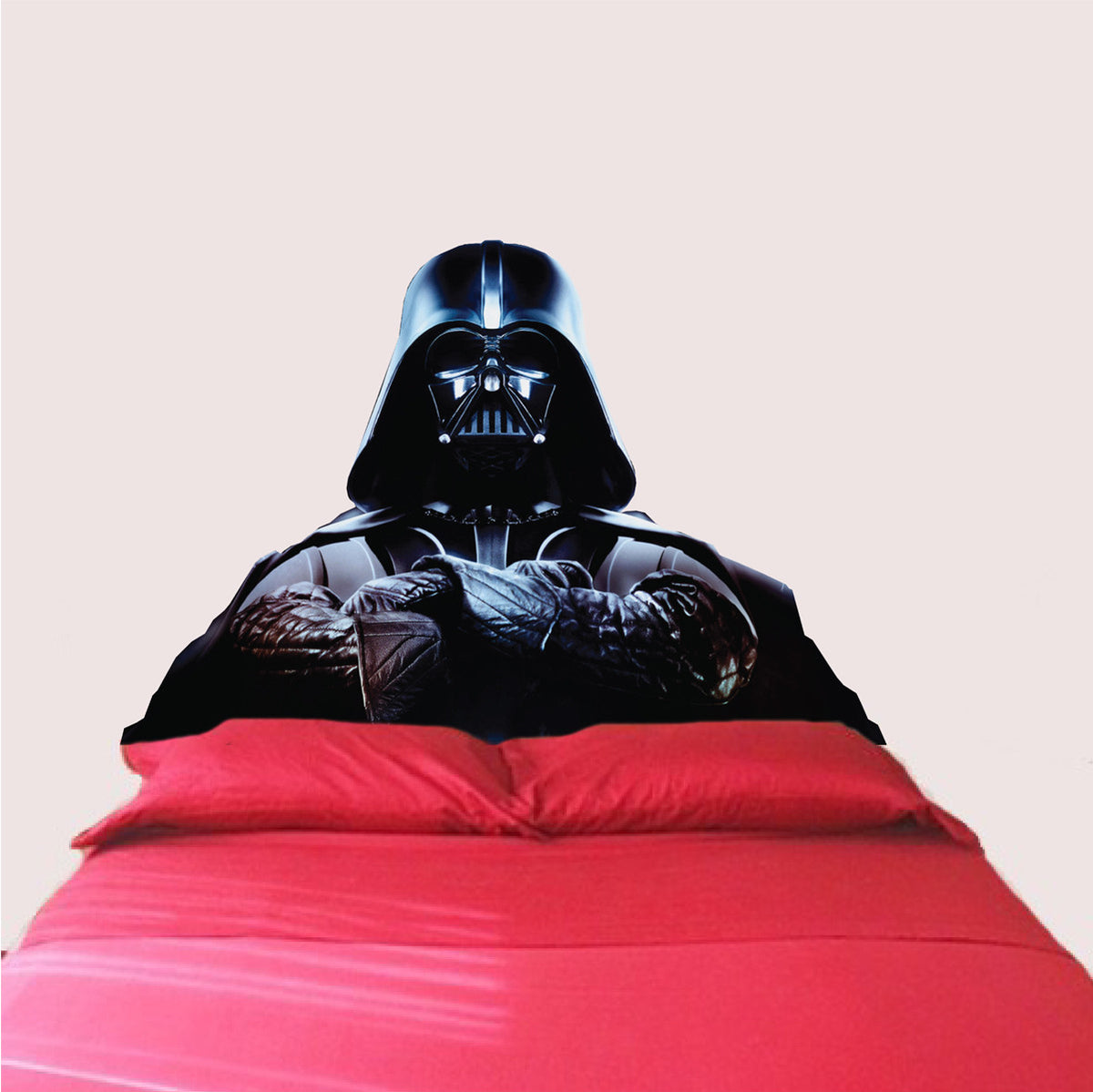 Movie Wall Mural