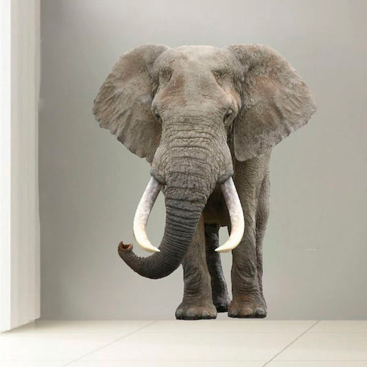 Elephant Safari Wall Decal