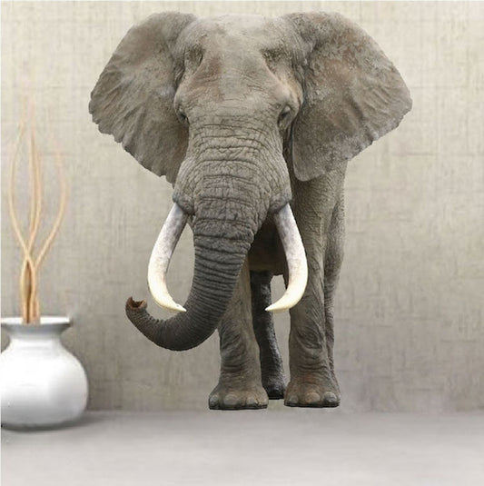 Elephant Safari Wall Decal