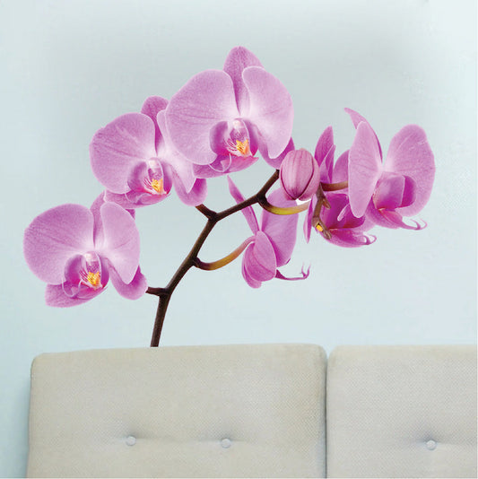 Orchid Flower Wall Decal